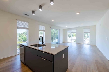 rigsbee collection poi 12